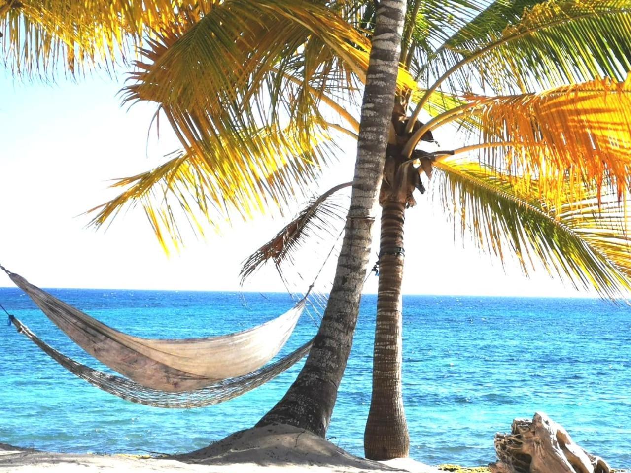 Saona Beach House - Bed And Breakfast Mano Juan Exterior foto