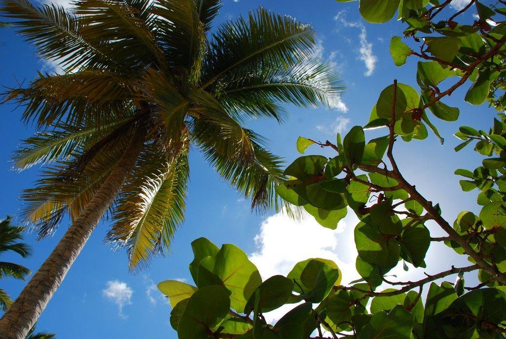 Saona Beach House - Bed And Breakfast Mano Juan Exterior foto